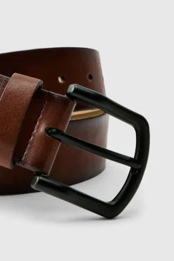 Brown Belt