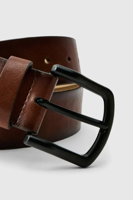 Brown Belt