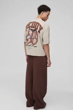 Oversized Boxy Heavyweight Borg Teddy Graphic T-shirt