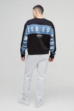 Oversized Boxy Large Scale Limited Panel Sweatshirt