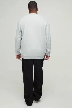 Plus Basic Sweatshirt