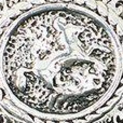 Signet Ring 5 Pack